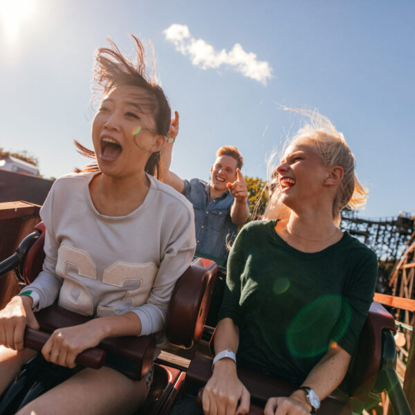 The power of a picture in the attraction